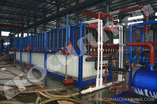 弗格森大型日產(chǎn)250噸鋁板蒸發(fā)式直冷塊冰機(jī) 長(zhǎng)期供應(yīng)全球大型制冰工廠